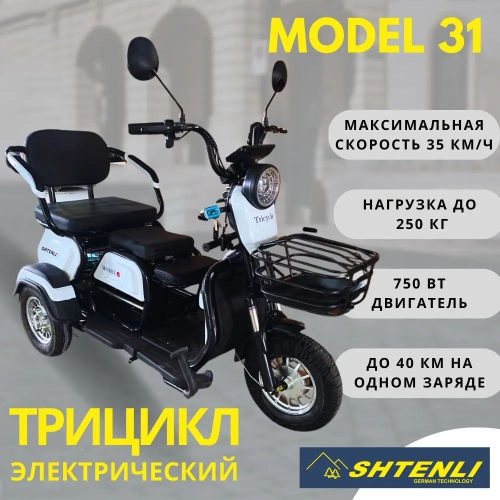 Электрический трицикл SHTENLI Model 31 li-on 48/20 600w