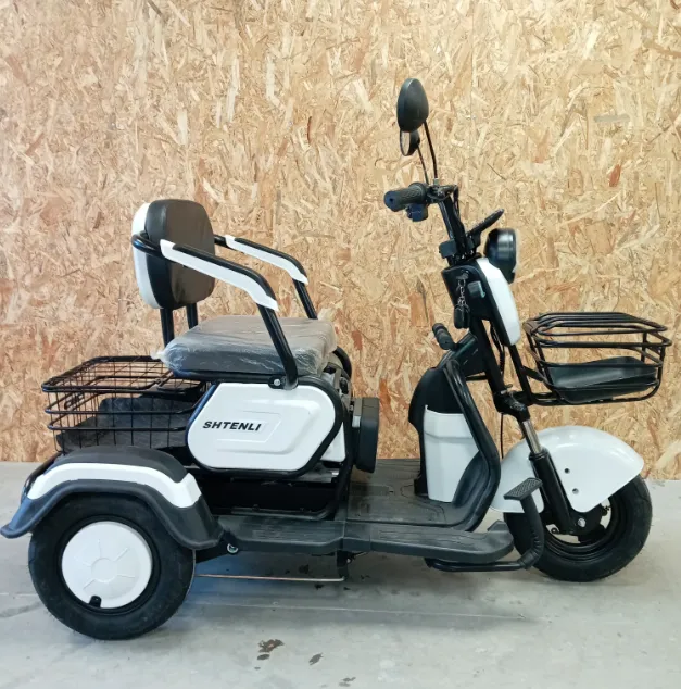 Электрический трицикл SHTENLI Model 31 li-on 60/20 600w