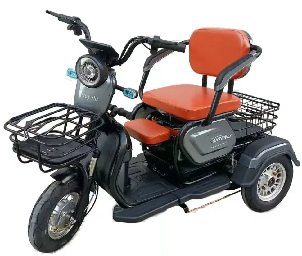 Электрический трицикл SHTENLI Model A031 li-on 60/20 250w