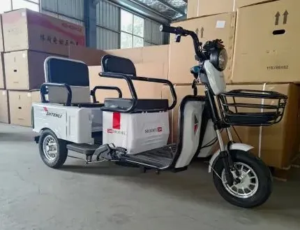 Электрический трицикл SHTENLI Model 34 2 в одном SLA 48/20 1000w