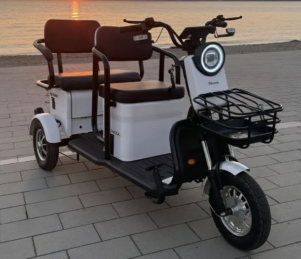 Электрический трицикл Бизнес Класса SHTENLI Model 37 lion 48/20 1000w