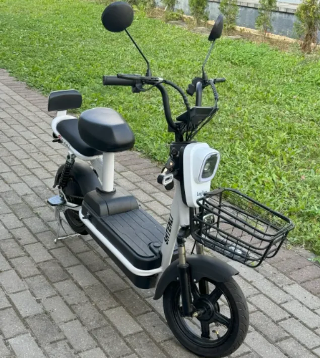 Электроскутер Shtenli Model Cruize 3 Long Range Li-on 48/12